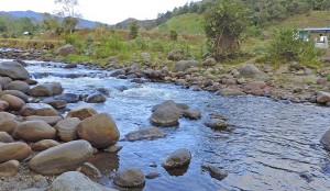 Restaurante Selva Alegre